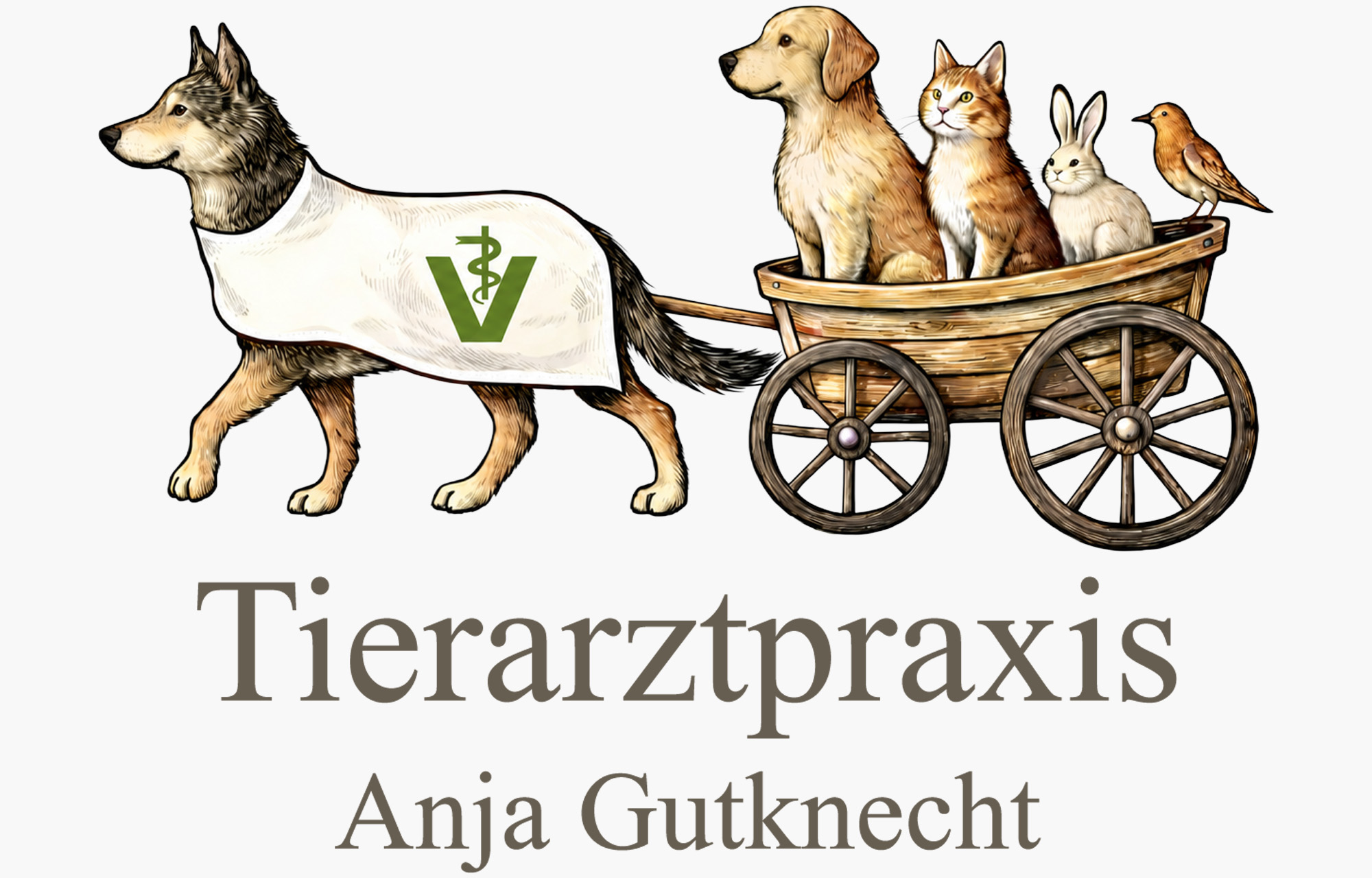 Tierarztpraxis Anja Gutknecht