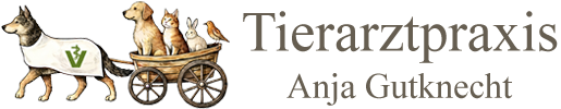 Tierarztpraxis Gutknecht